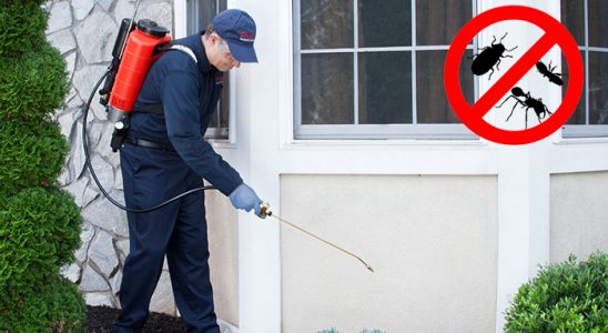 Yağlıdere Karınca İlaçlama böcek ilaçlama ve haşere kontrolü — ilaclama-tr.com